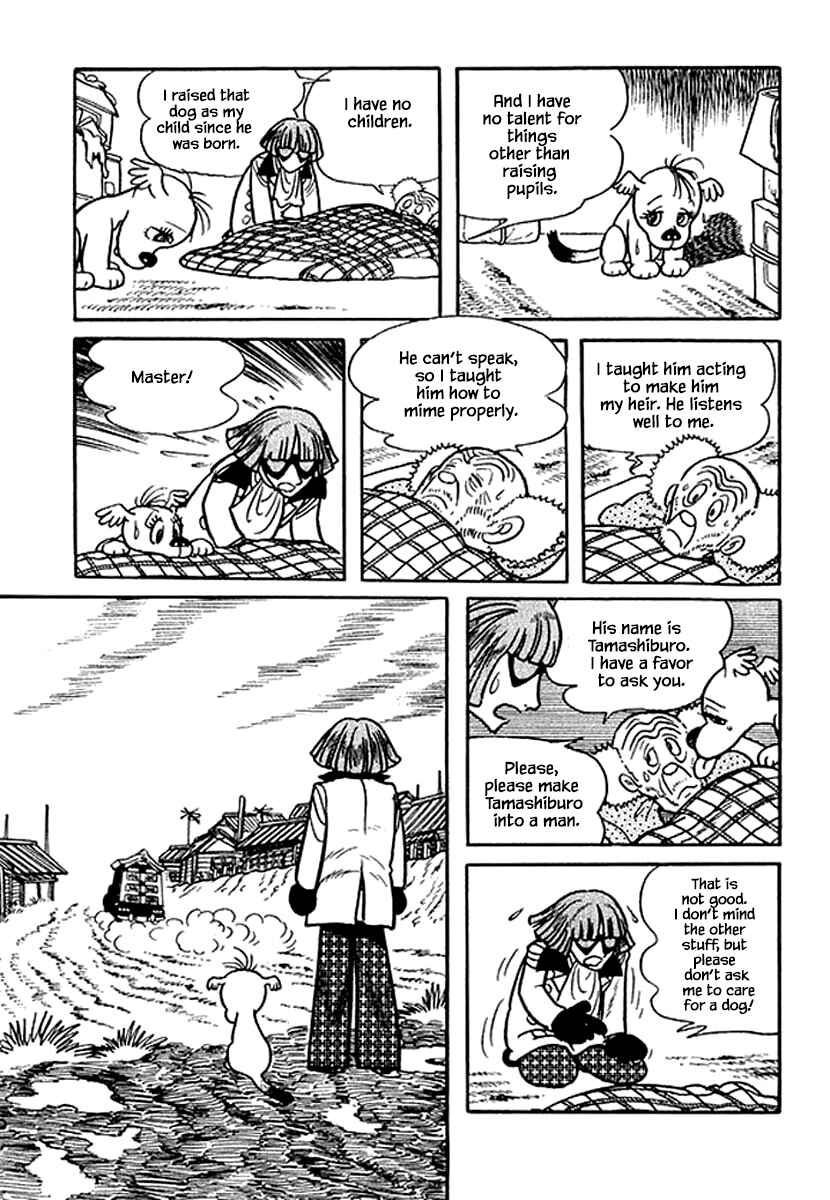Page 23 Chapter 13 Rainbow Parakeet
