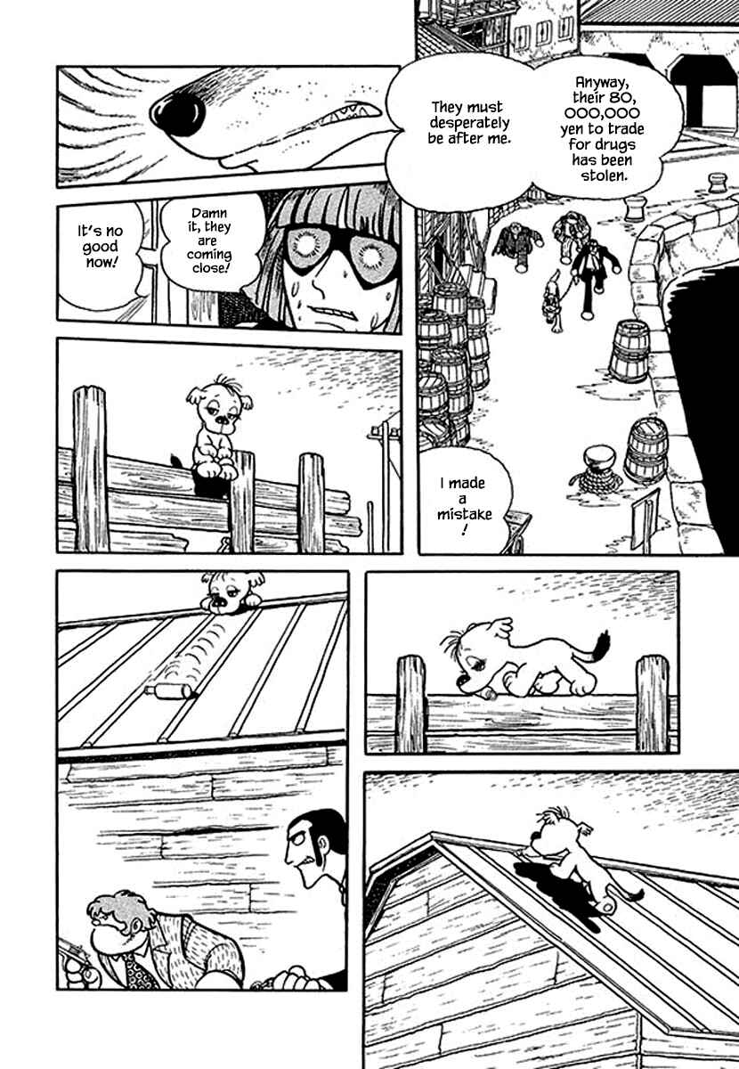 Page 4 Chapter 13 Rainbow Parakeet