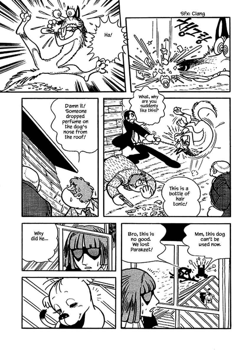 Page 5 Chapter 13 Rainbow Parakeet