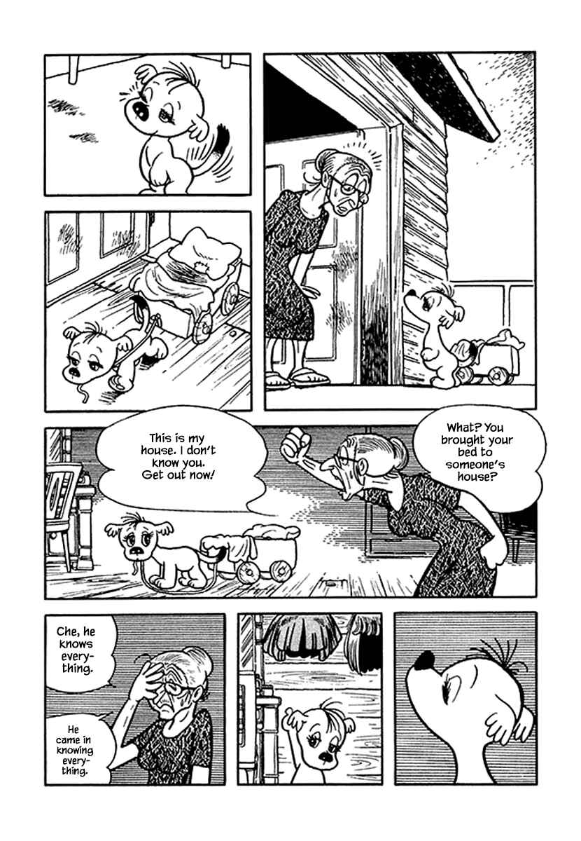 Page 7 Chapter 13 Rainbow Parakeet