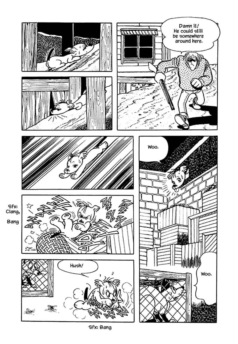 Page 10 Chapter 40 Rainbow Parakeet