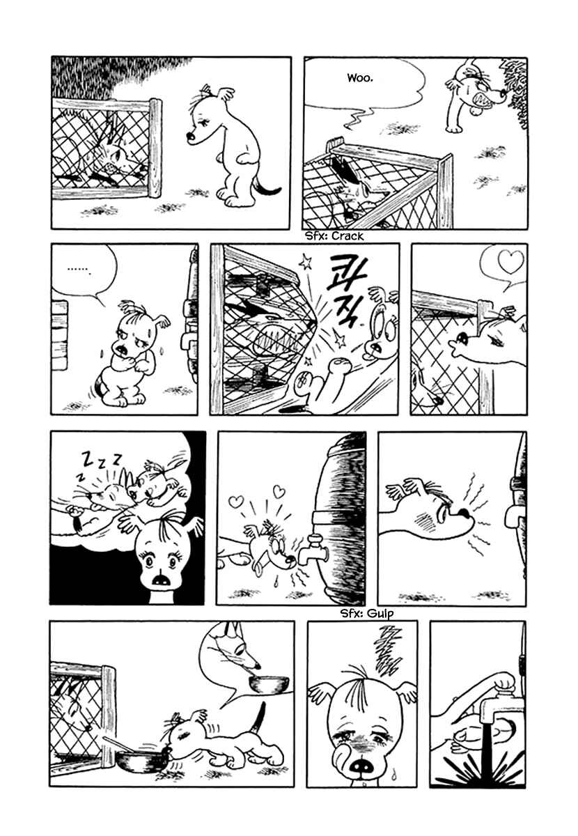 Page 11 Chapter 40 Rainbow Parakeet