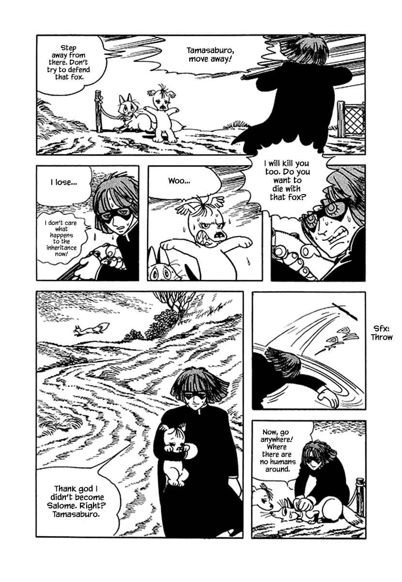 Page 24 Chapter 40 Rainbow Parakeet