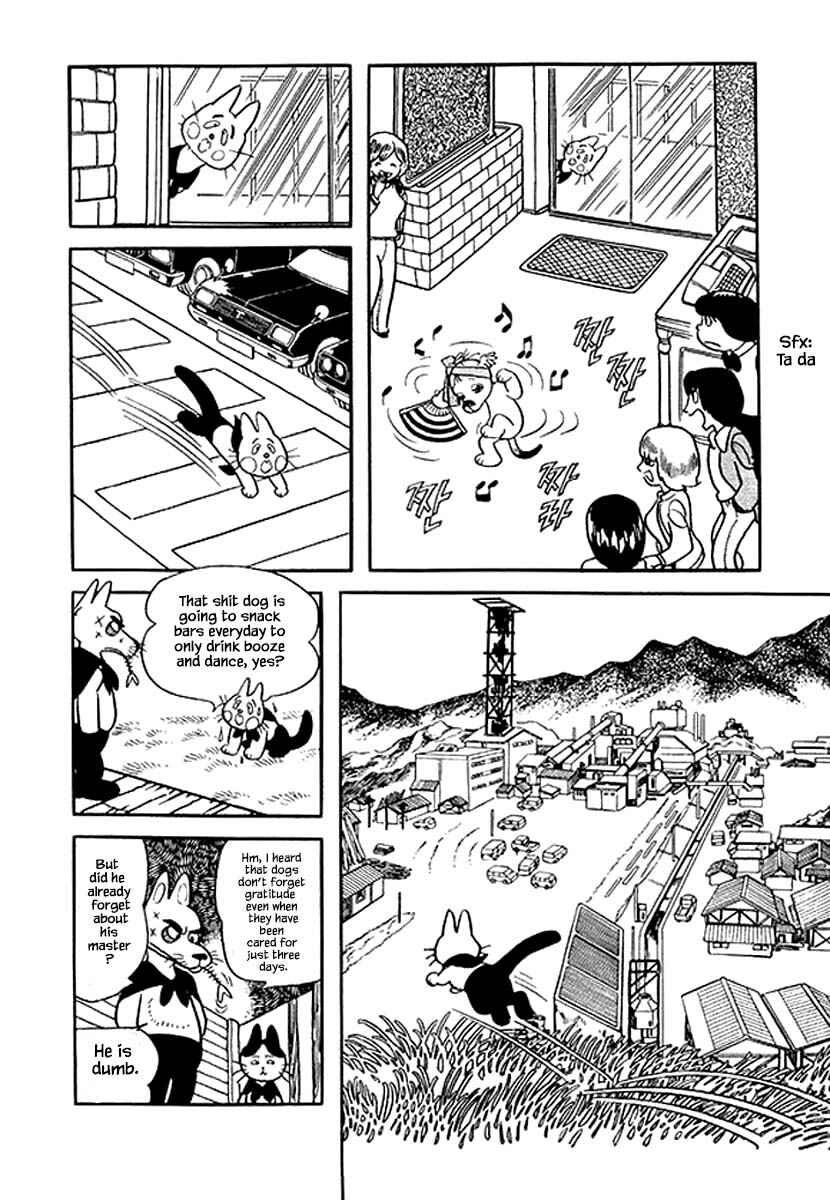 Page 14 Chapter 36 Rainbow Parakeet