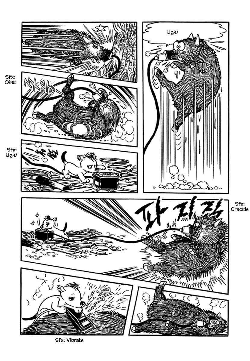 Page 17 Chapter 36 Rainbow Parakeet