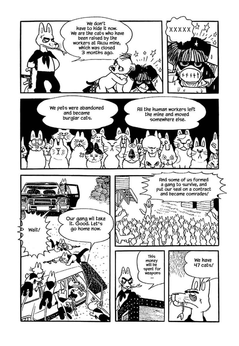 Page 6 Chapter 36 Rainbow Parakeet