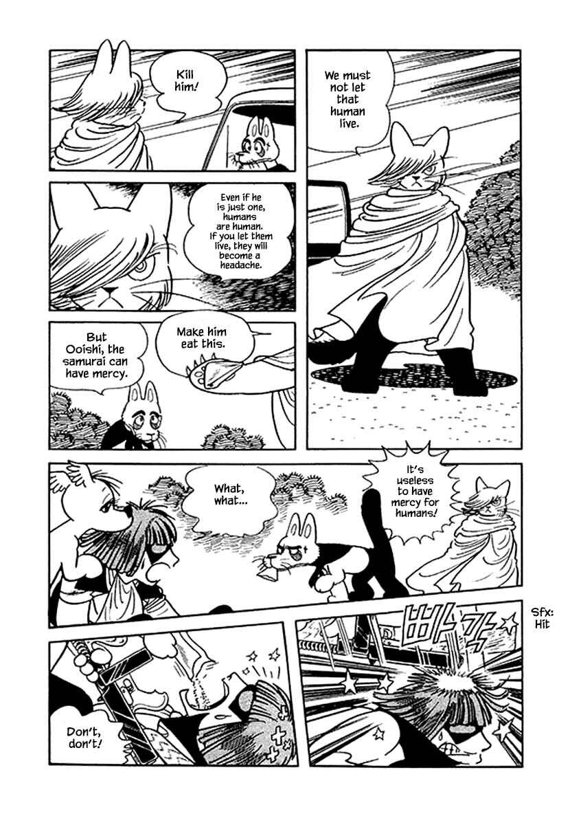 Page 7 Chapter 36 Rainbow Parakeet