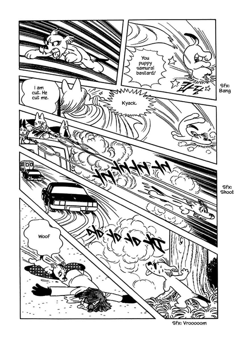 Page 9 Chapter 36 Rainbow Parakeet