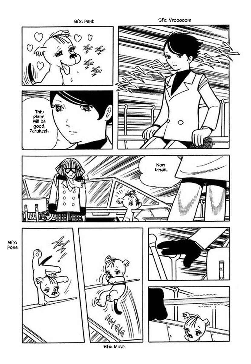 Page 18 Chapter 26 Rainbow Parakeet