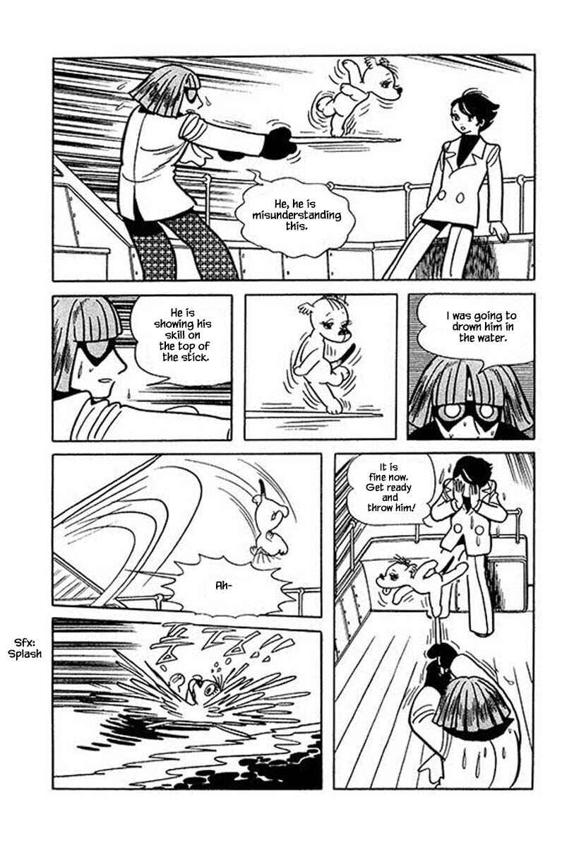 Page 19 Chapter 26 Rainbow Parakeet