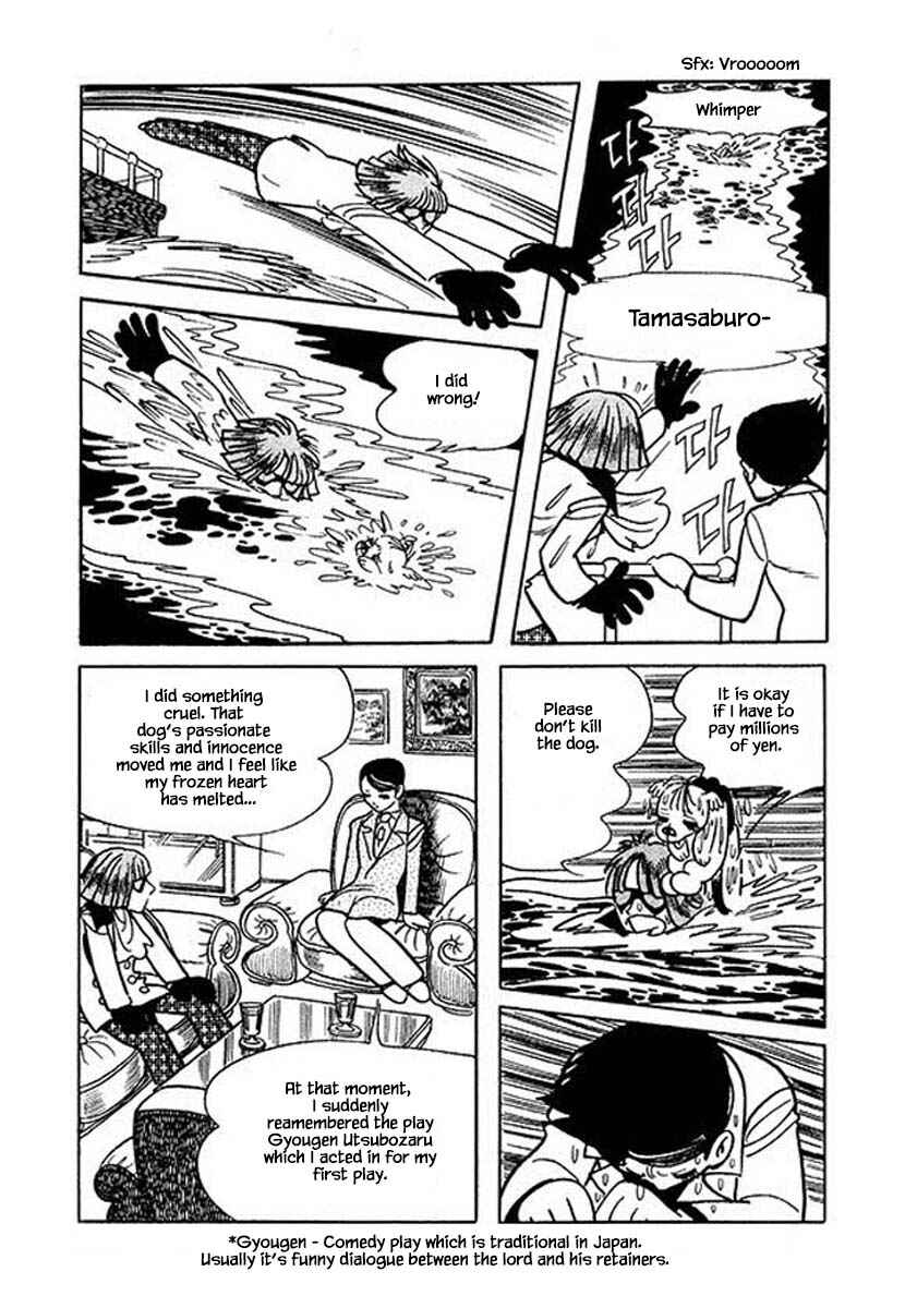Page 20 Chapter 26 Rainbow Parakeet