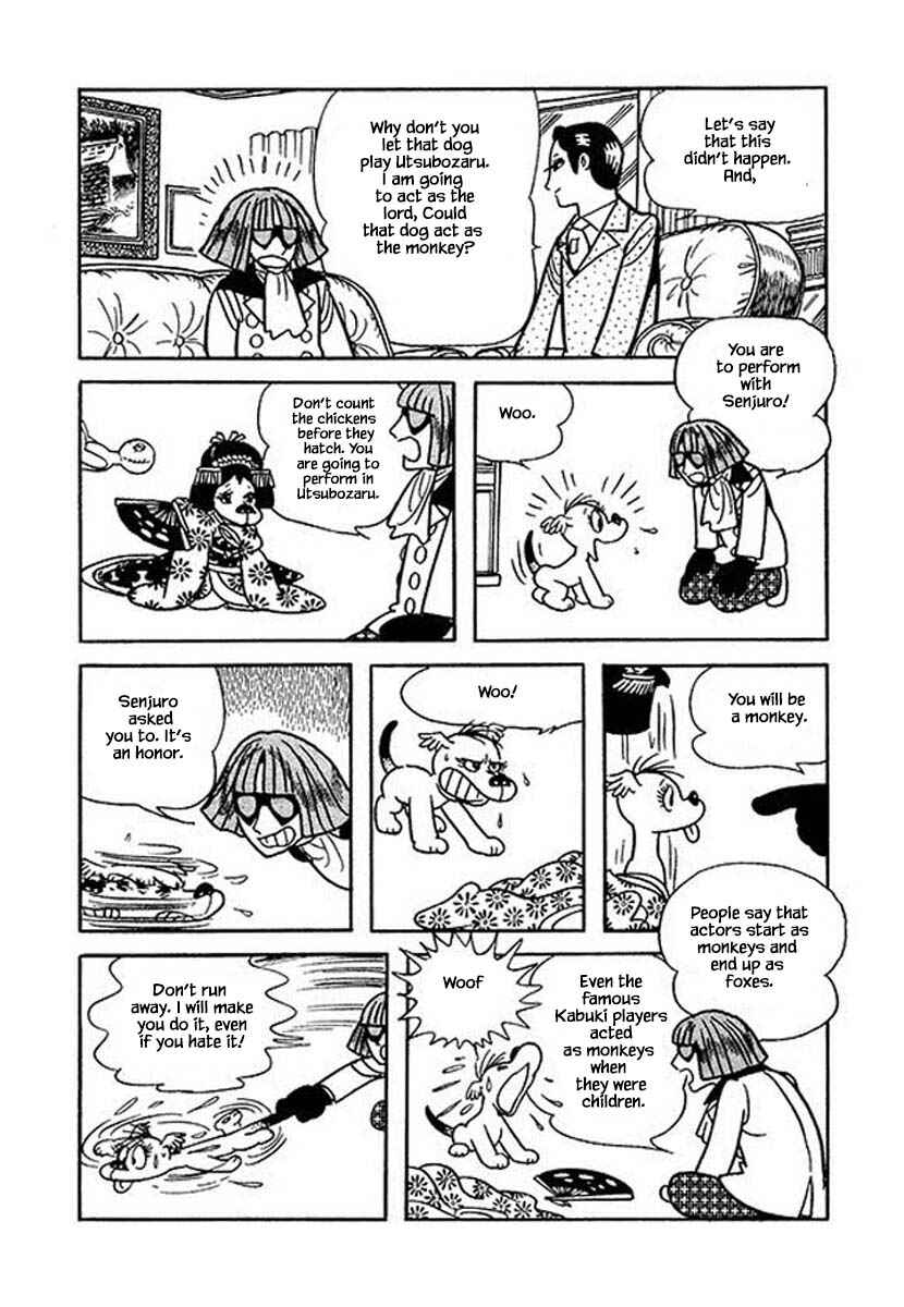 Page 22 Chapter 26 Rainbow Parakeet