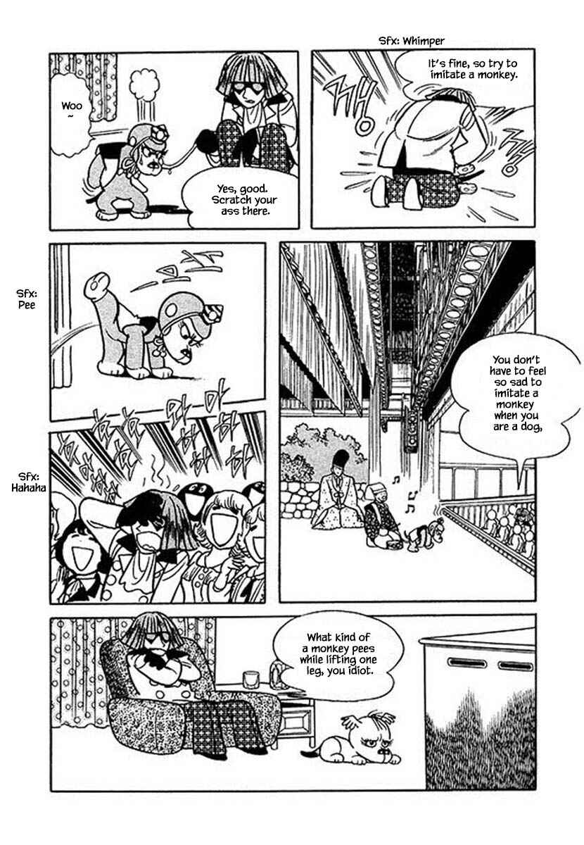 Page 23 Chapter 26 Rainbow Parakeet