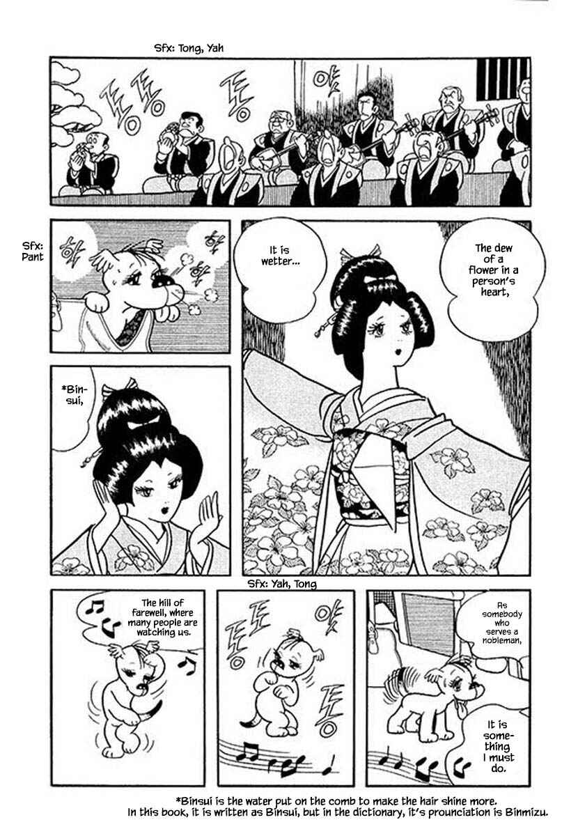 Page 8 Chapter 26 Rainbow Parakeet