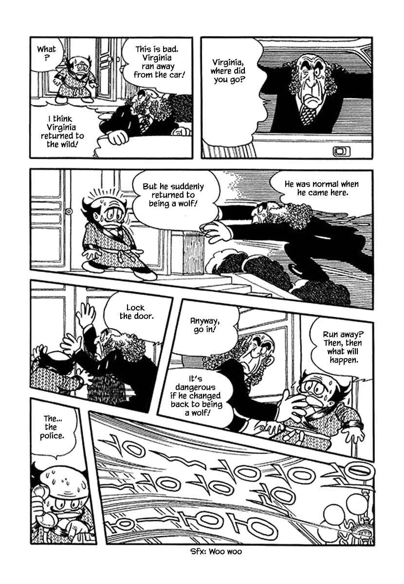 Page 19 Chapter 11 Rainbow Parakeet
