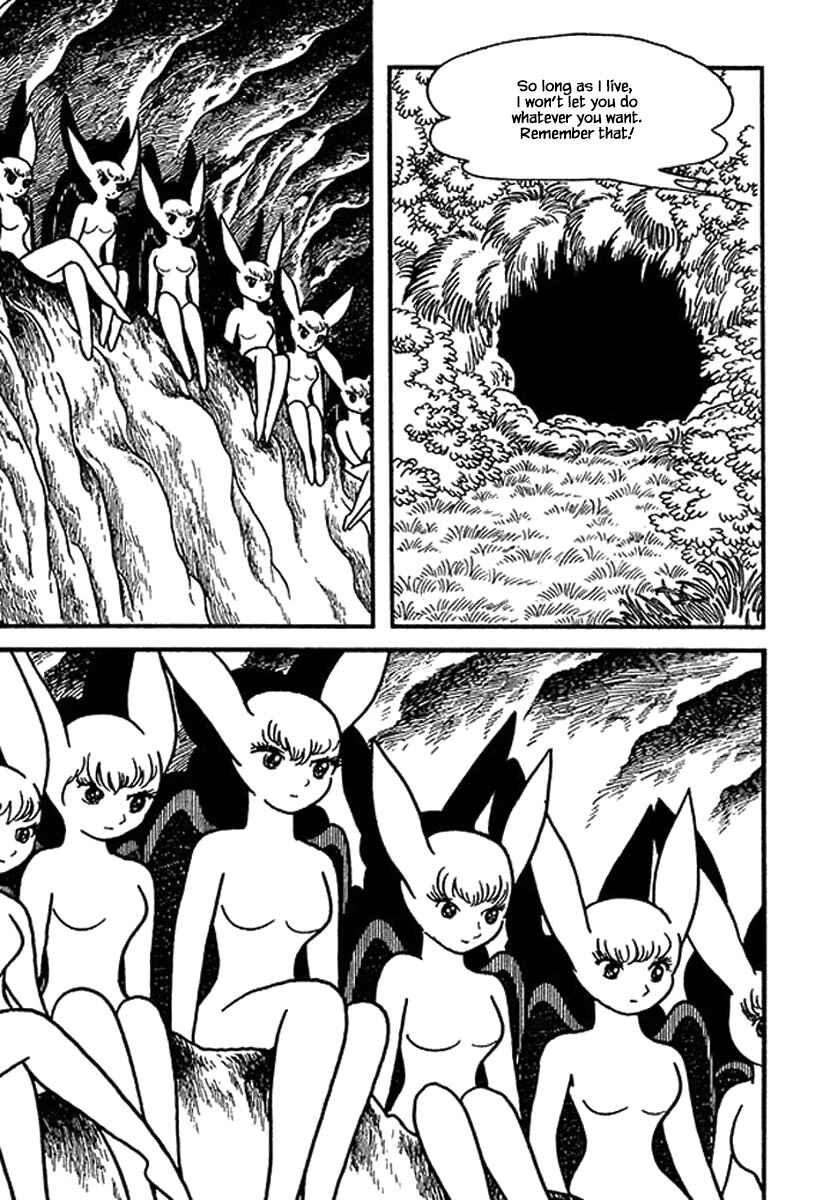 Page 7 Chapter 14 Rainbow Parakeet