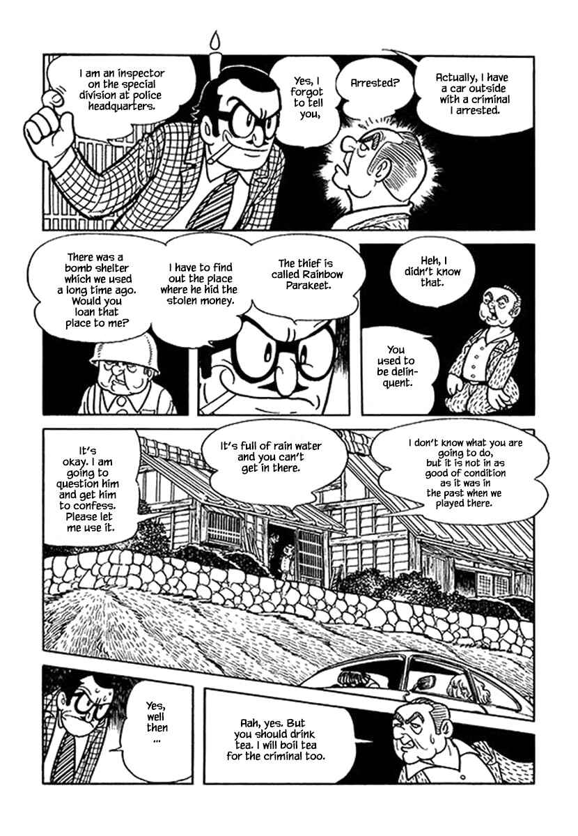 Page 9 Chapter 14 Rainbow Parakeet