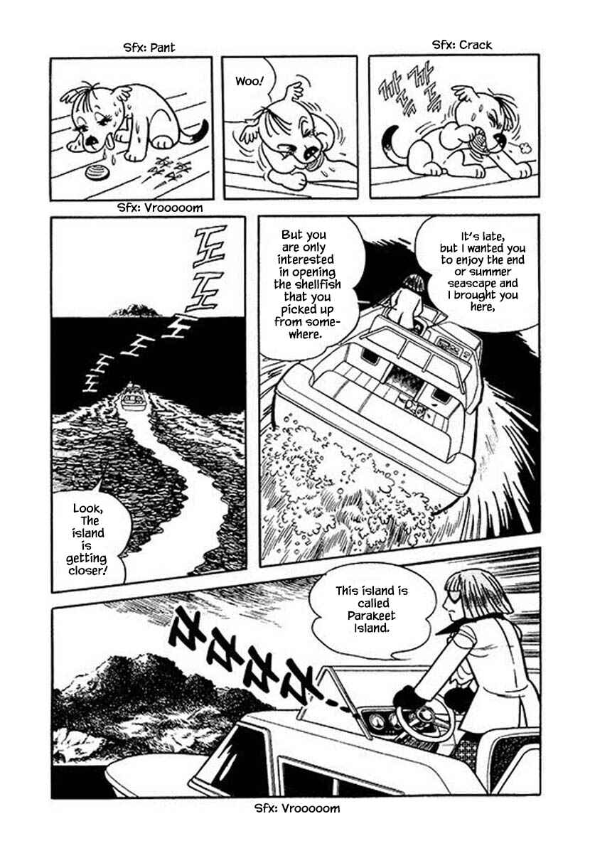 Page 6 Chapter 20 Rainbow Parakeet