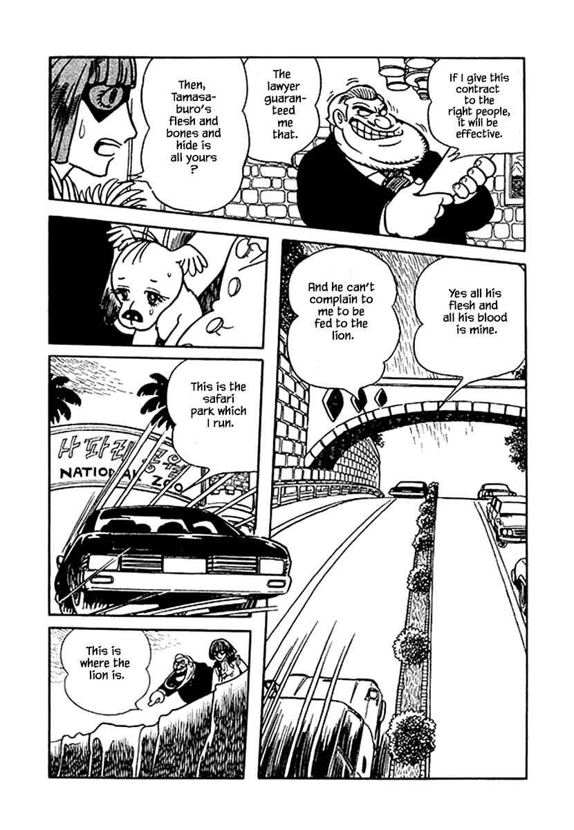 Page 17 Chapter 35 Rainbow Parakeet