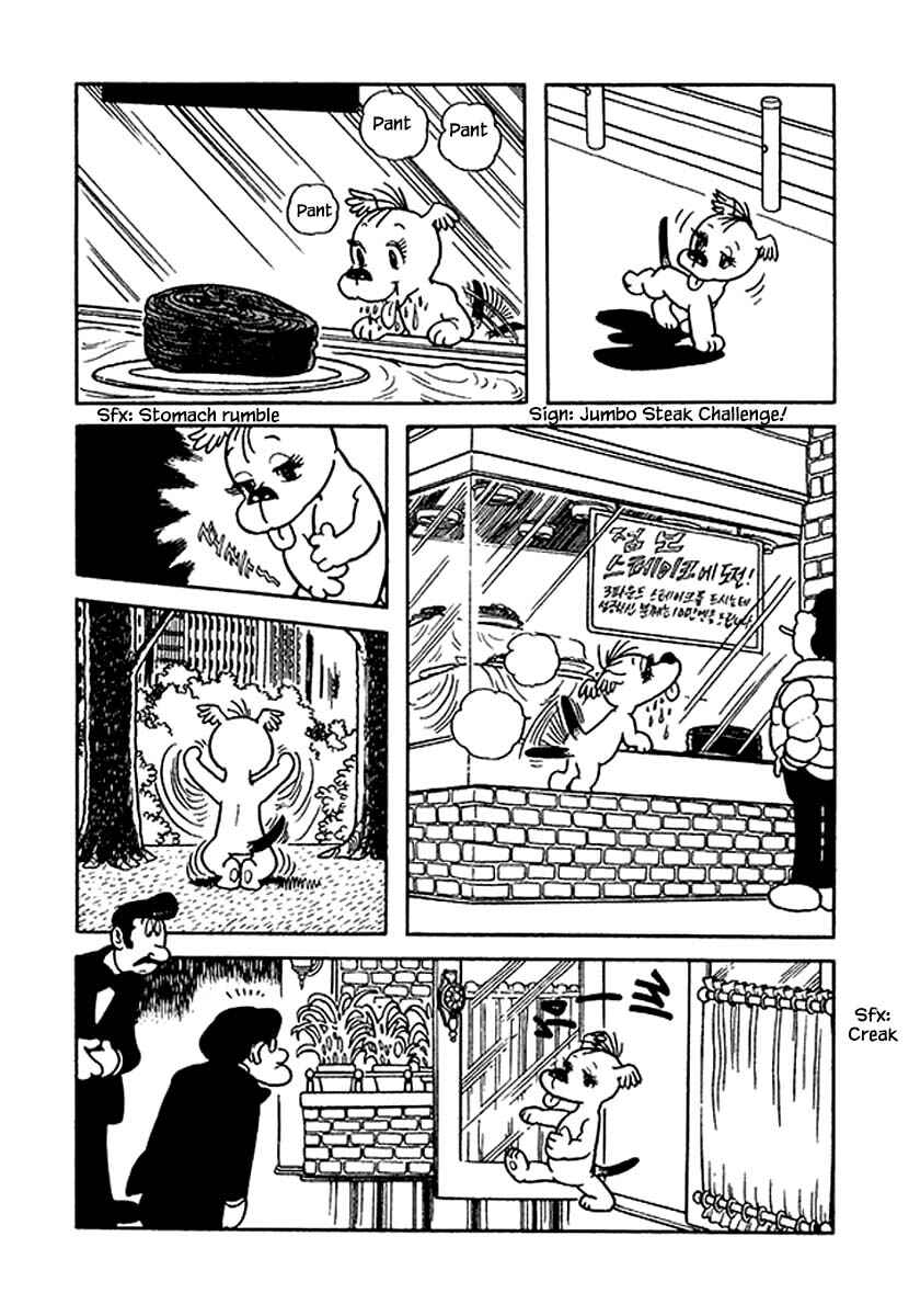 Page 2 Chapter 35 Rainbow Parakeet