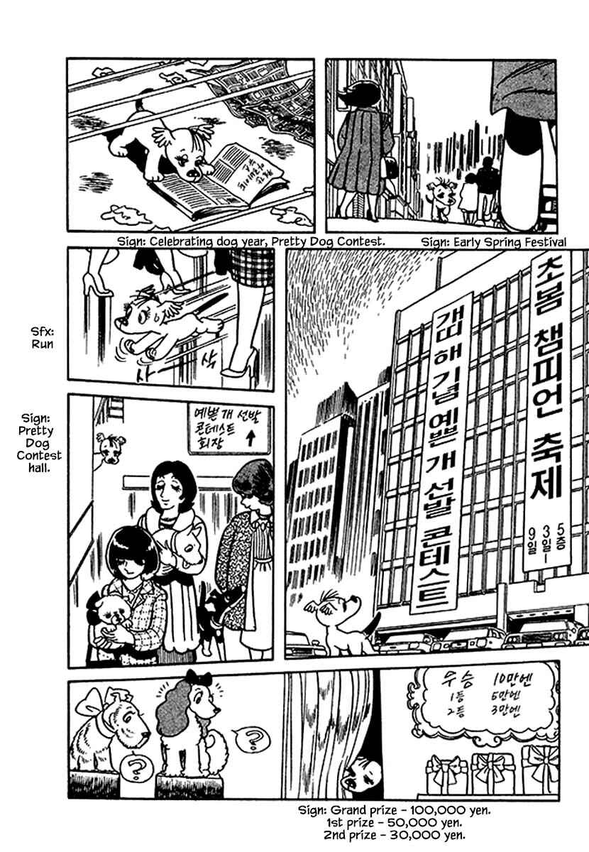Page 8 Chapter 35 Rainbow Parakeet