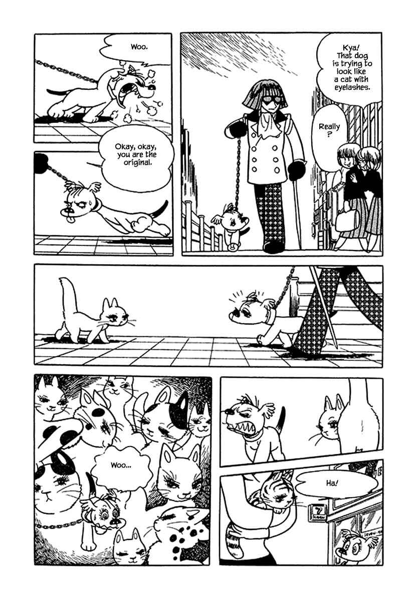 Page 12 Chapter 31 Rainbow Parakeet