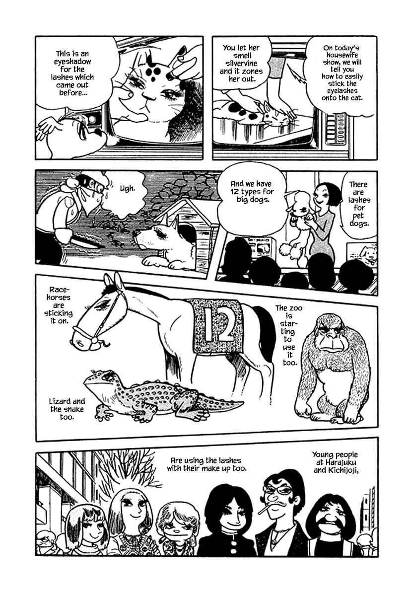 Page 13 Chapter 31 Rainbow Parakeet