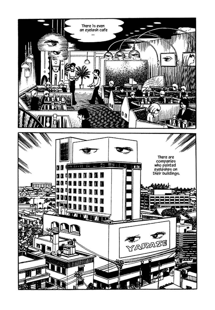 Page 15 Chapter 31 Rainbow Parakeet