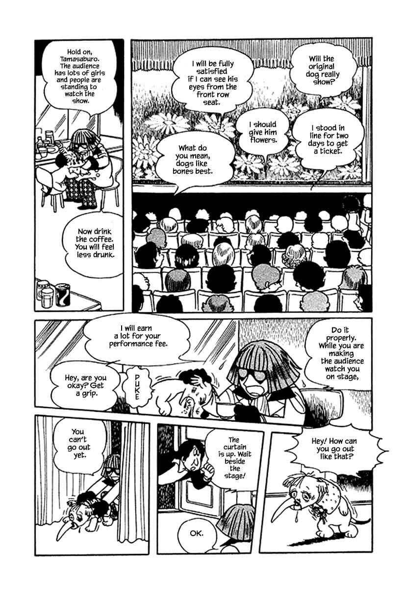 Page 19 Chapter 31 Rainbow Parakeet
