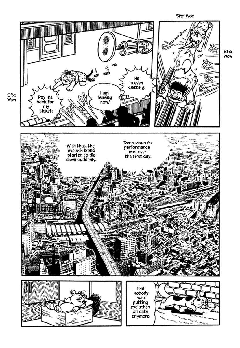 Page 22 Chapter 31 Rainbow Parakeet