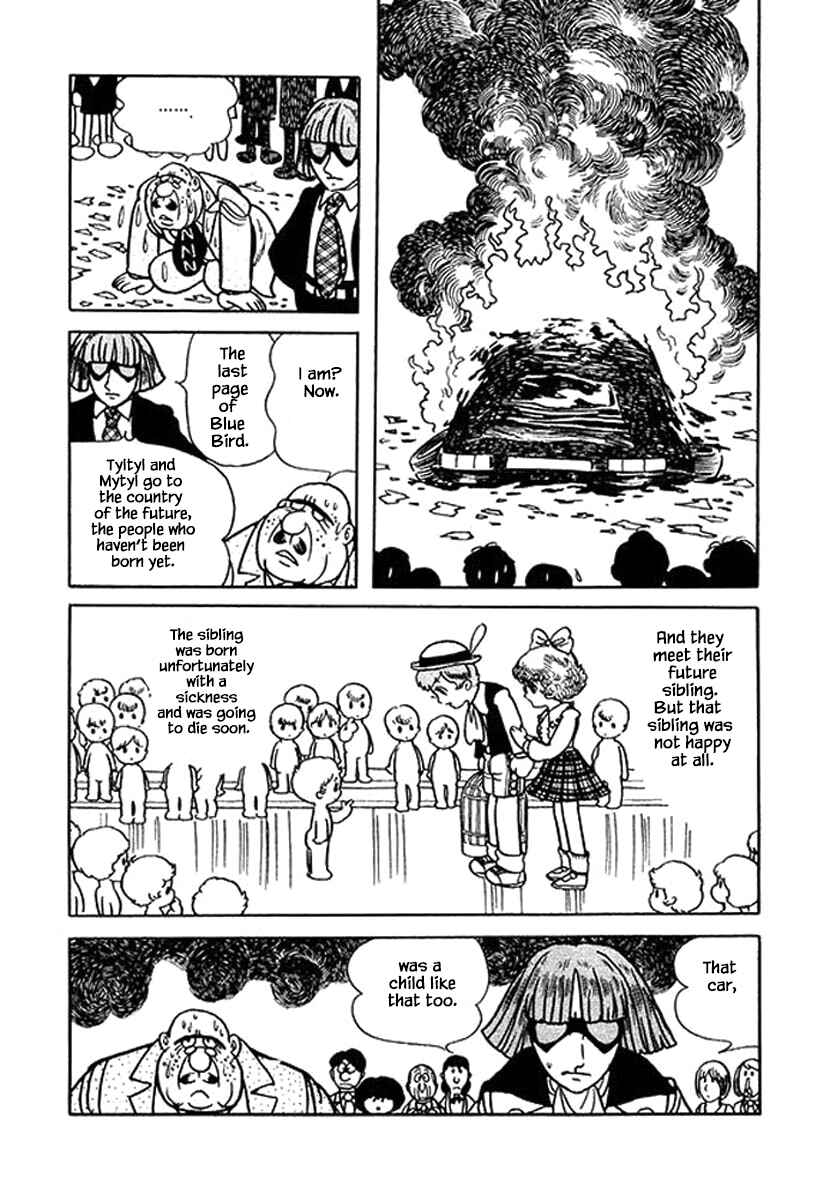 Page 23 Chapter 18.3 Rainbow Parakeet