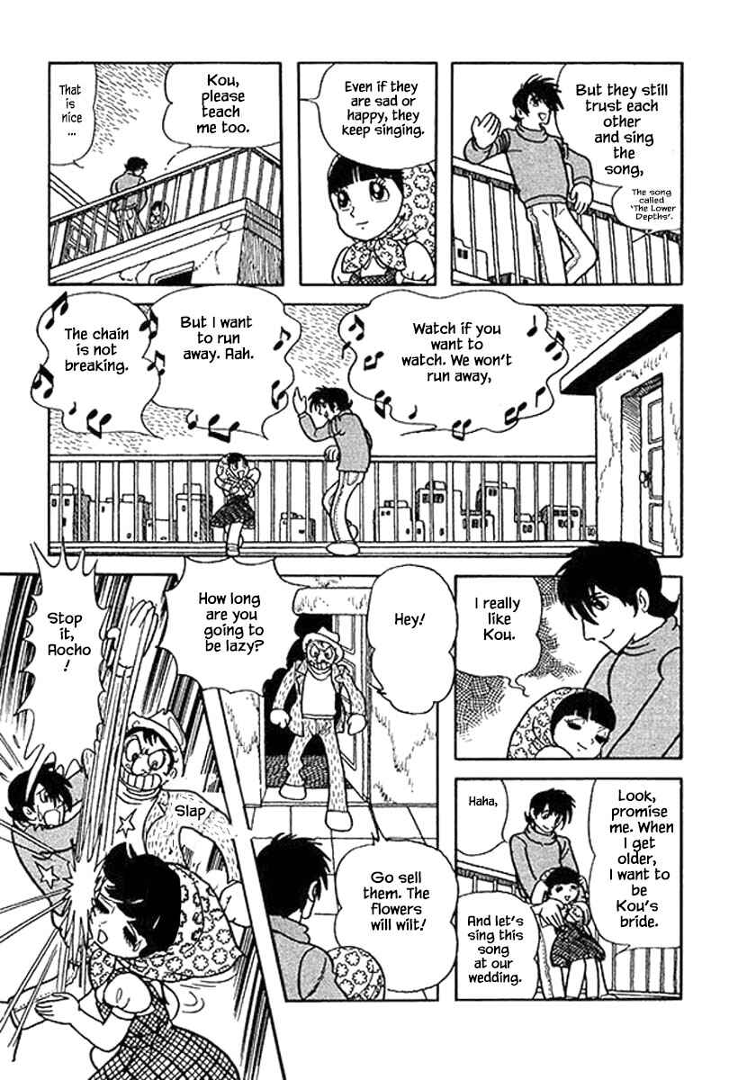 Page 10 Chapter 2 Rainbow Parakeet