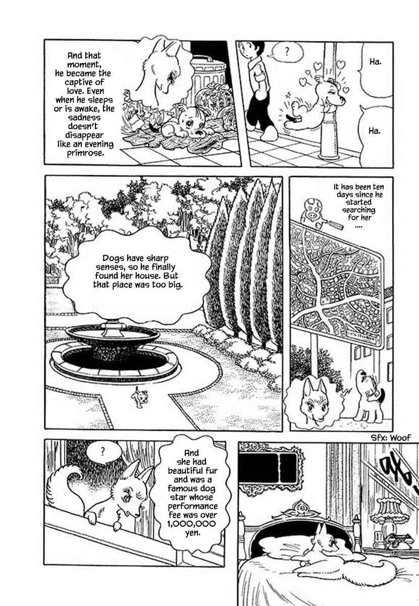 Page 10 Chapter 46 Rainbow Parakeet