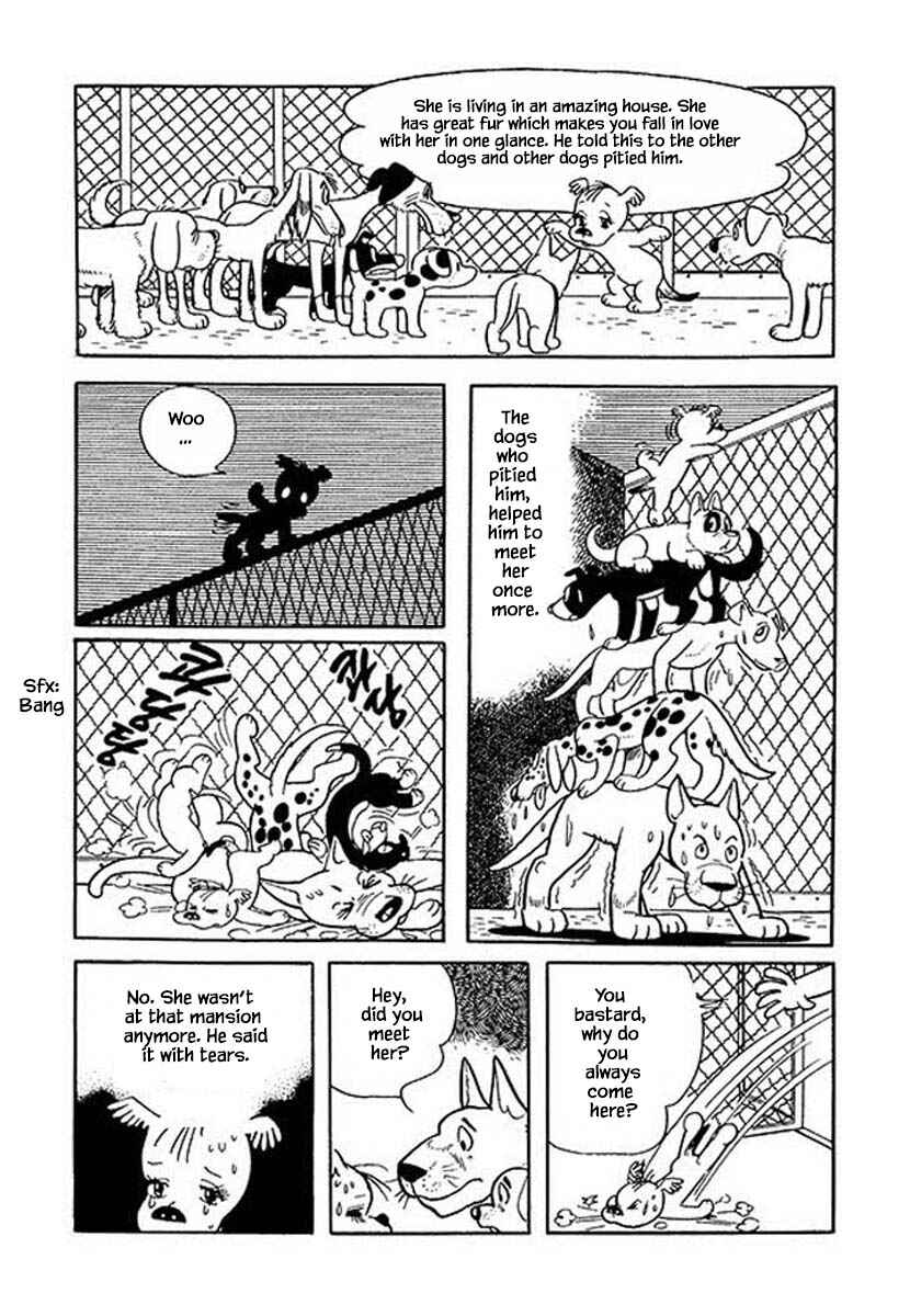 Page 12 Chapter 46 Rainbow Parakeet