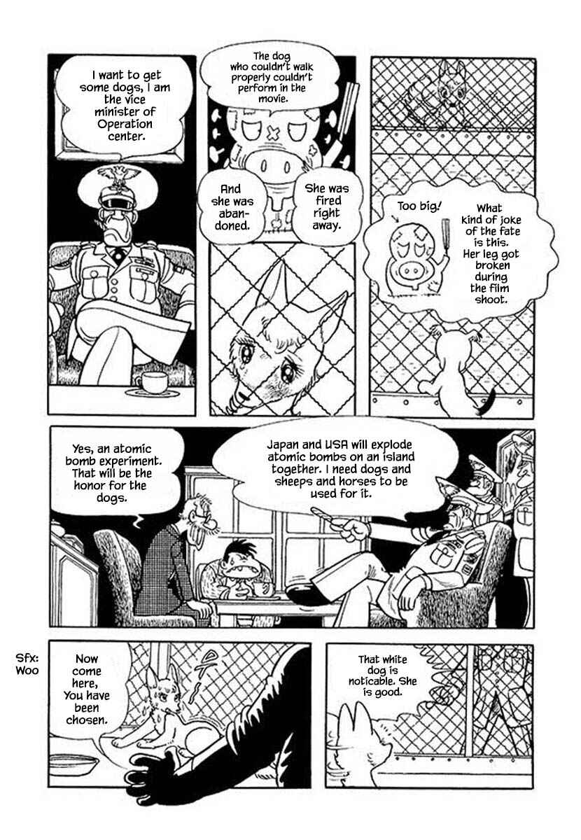 Page 14 Chapter 46 Rainbow Parakeet