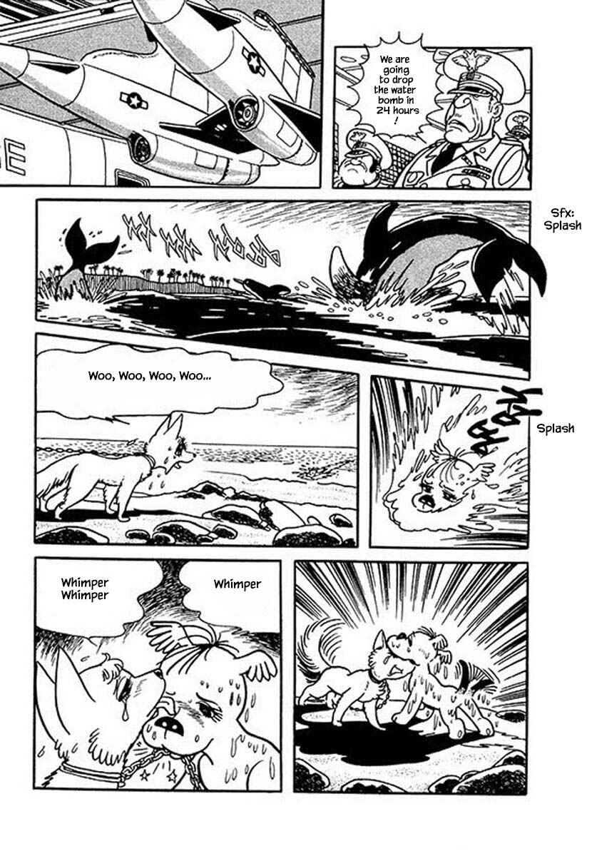 Page 19 Chapter 46 Rainbow Parakeet