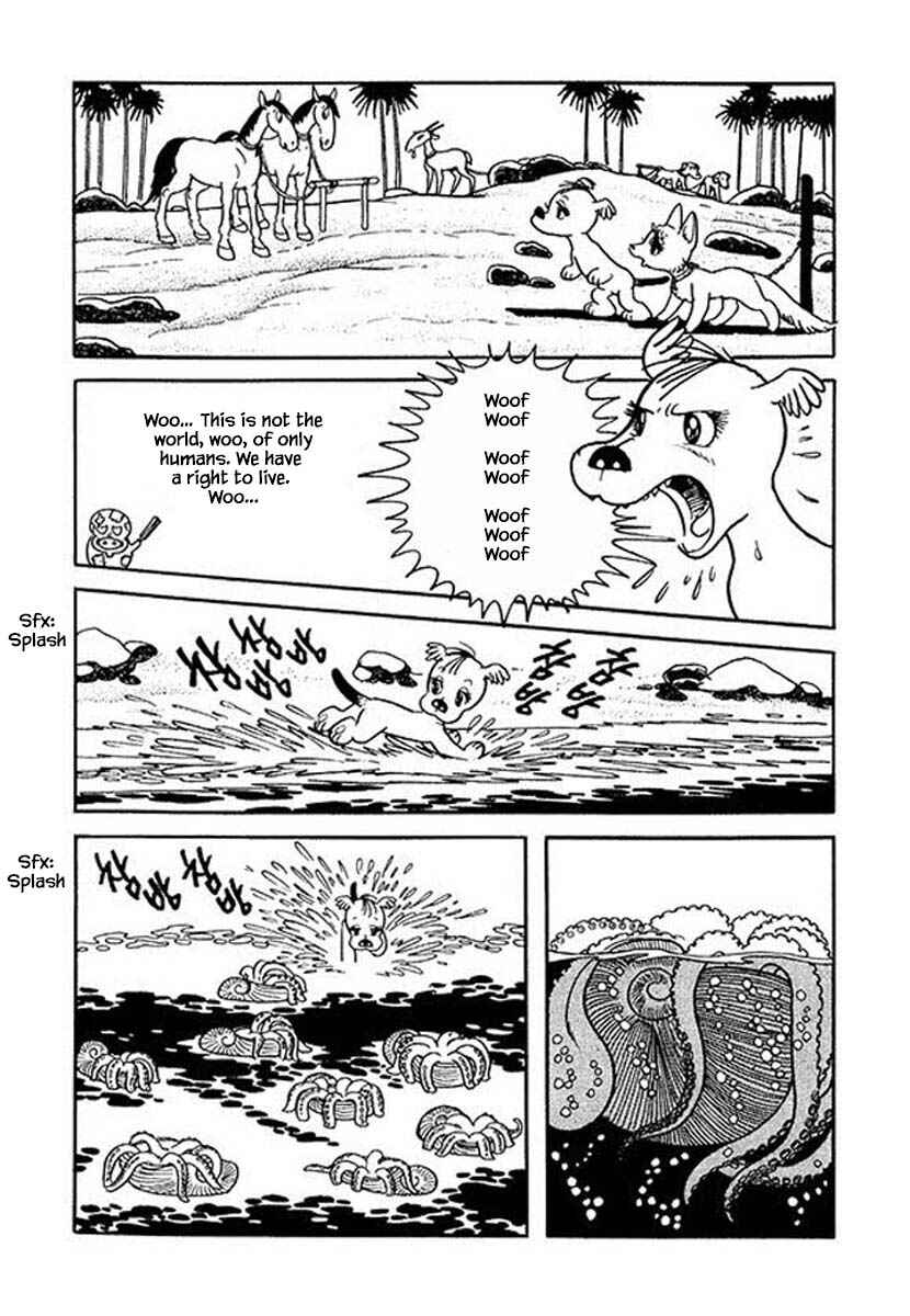 Page 20 Chapter 46 Rainbow Parakeet