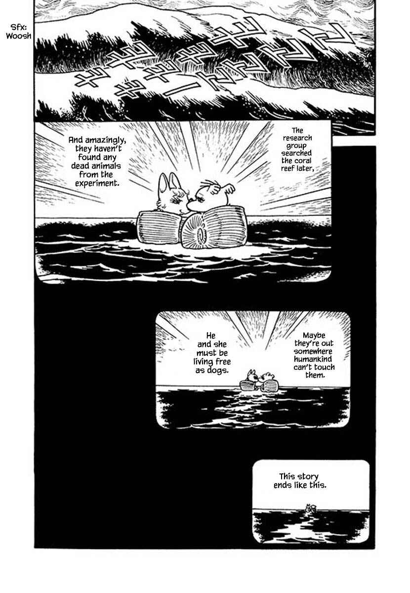 Page 23 Chapter 46 Rainbow Parakeet