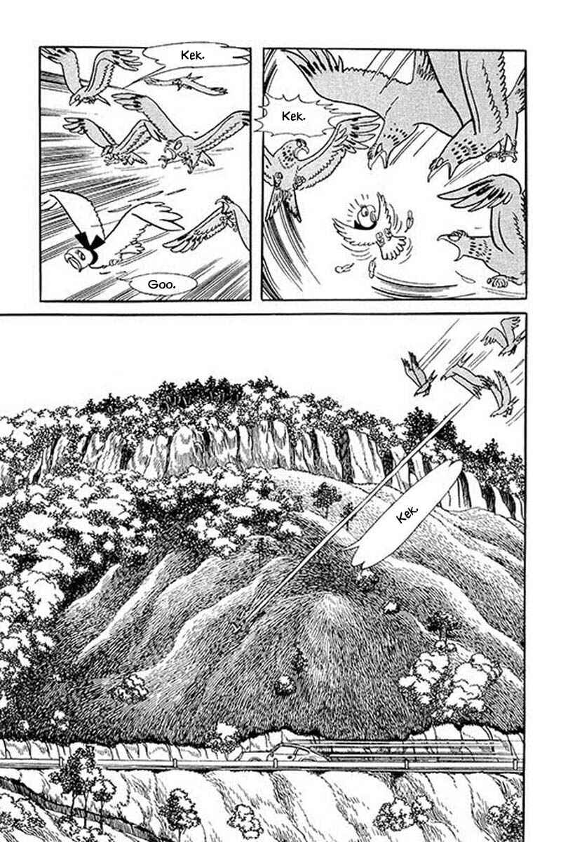 Page 13 Chapter 45.6 Rainbow Parakeet