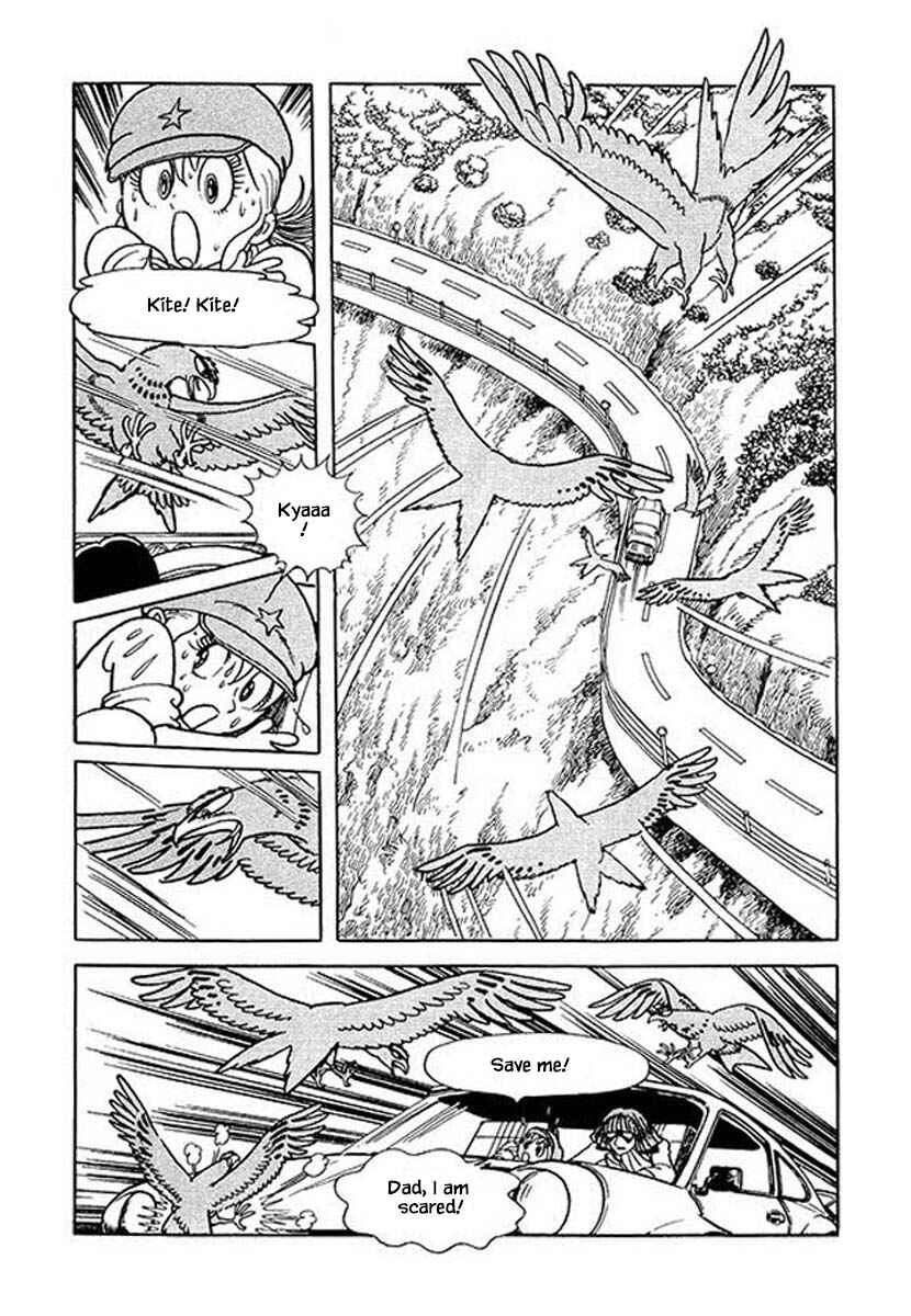 Page 14 Chapter 45.6 Rainbow Parakeet