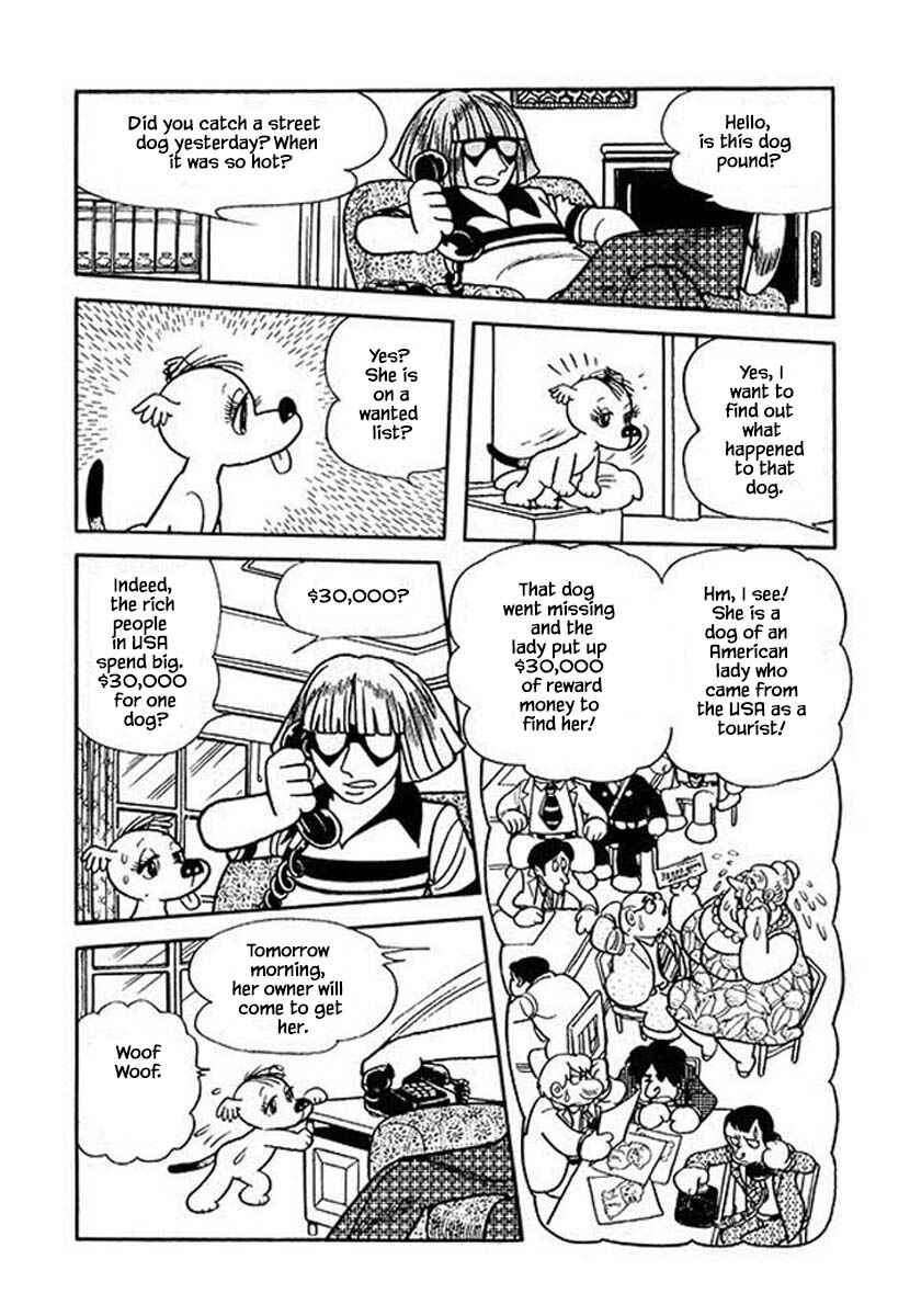 Page 11 Chapter 19 Rainbow Parakeet
