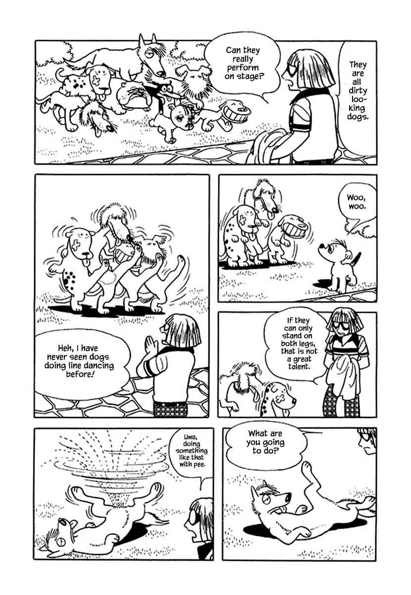 Page 13 Chapter 19 Rainbow Parakeet