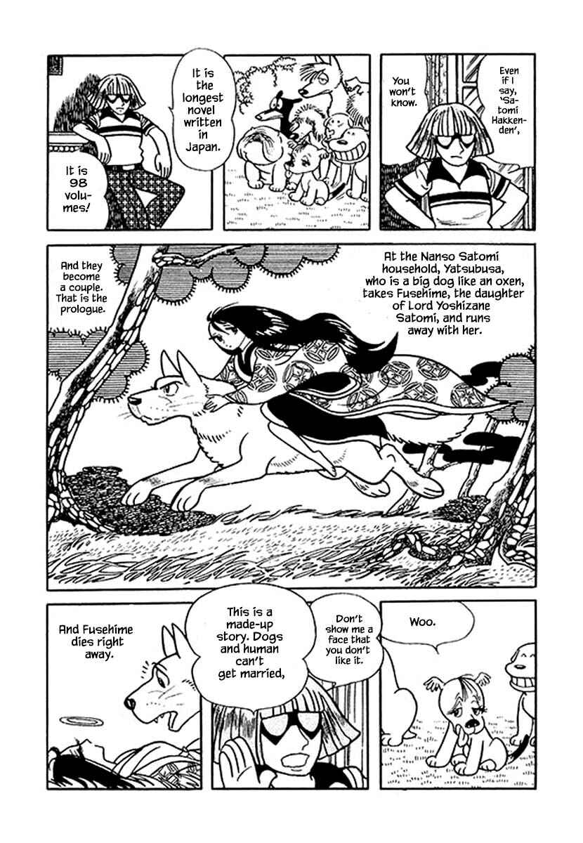 Page 15 Chapter 19 Rainbow Parakeet