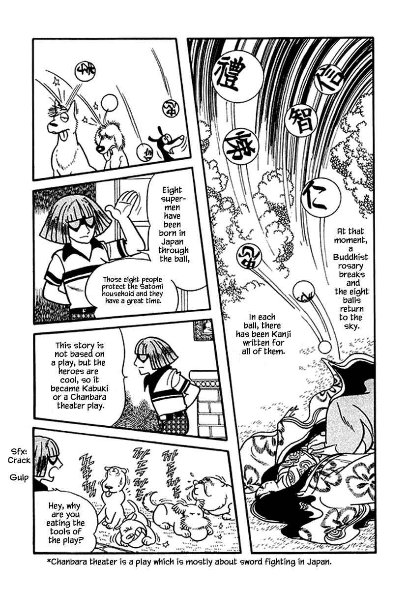 Page 16 Chapter 19 Rainbow Parakeet