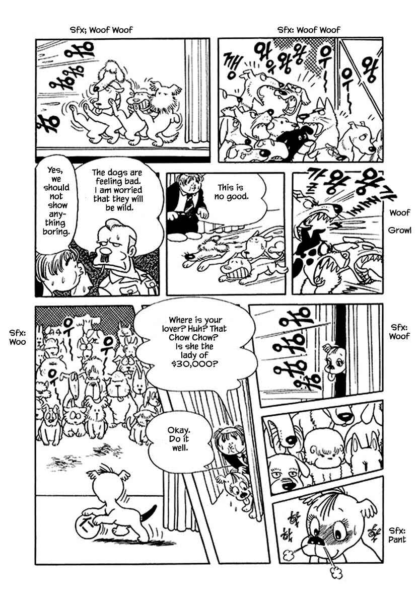Page 19 Chapter 19 Rainbow Parakeet