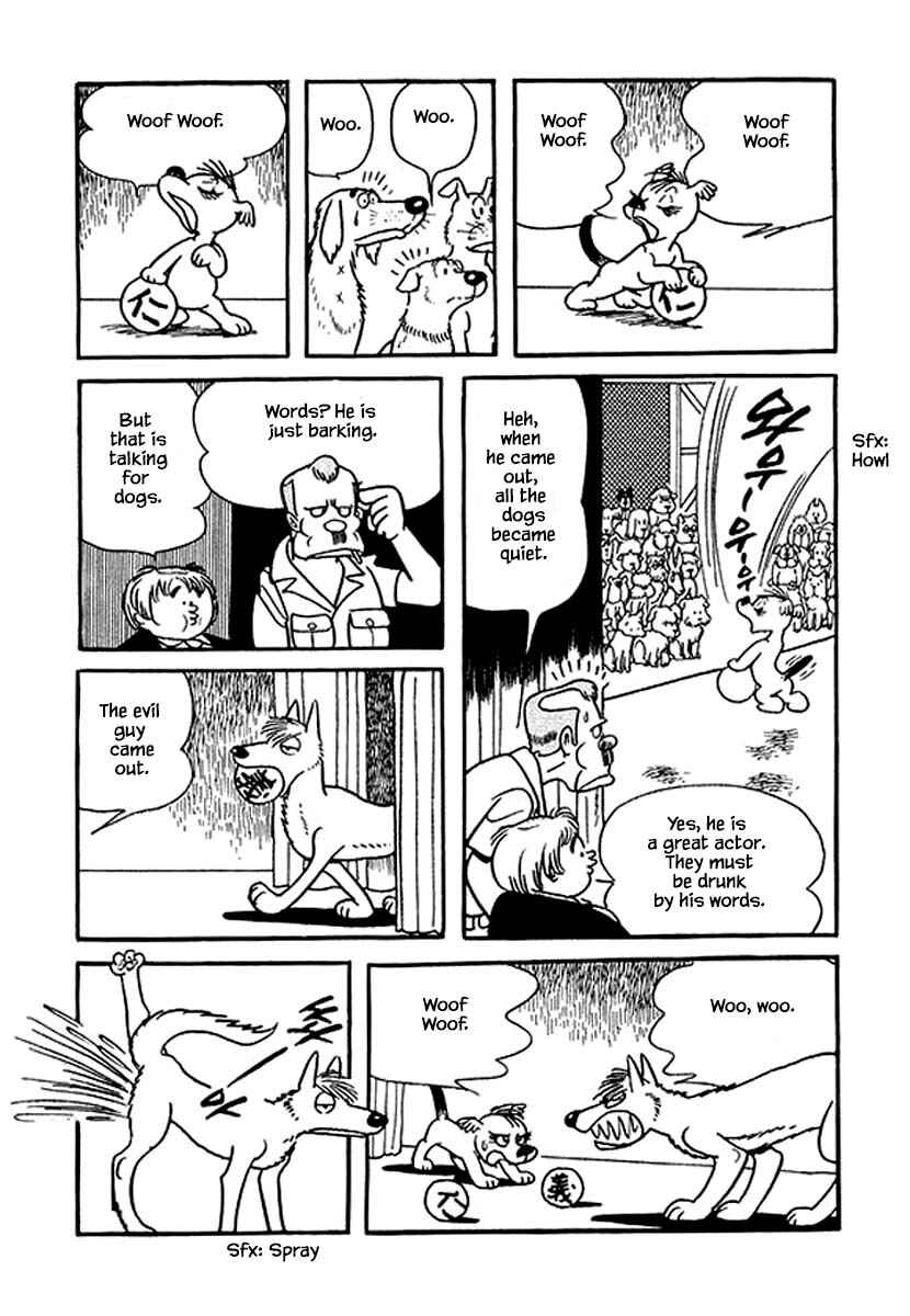 Page 20 Chapter 19 Rainbow Parakeet