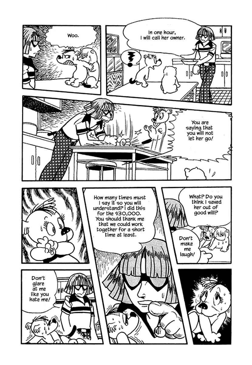 Page 23 Chapter 19 Rainbow Parakeet