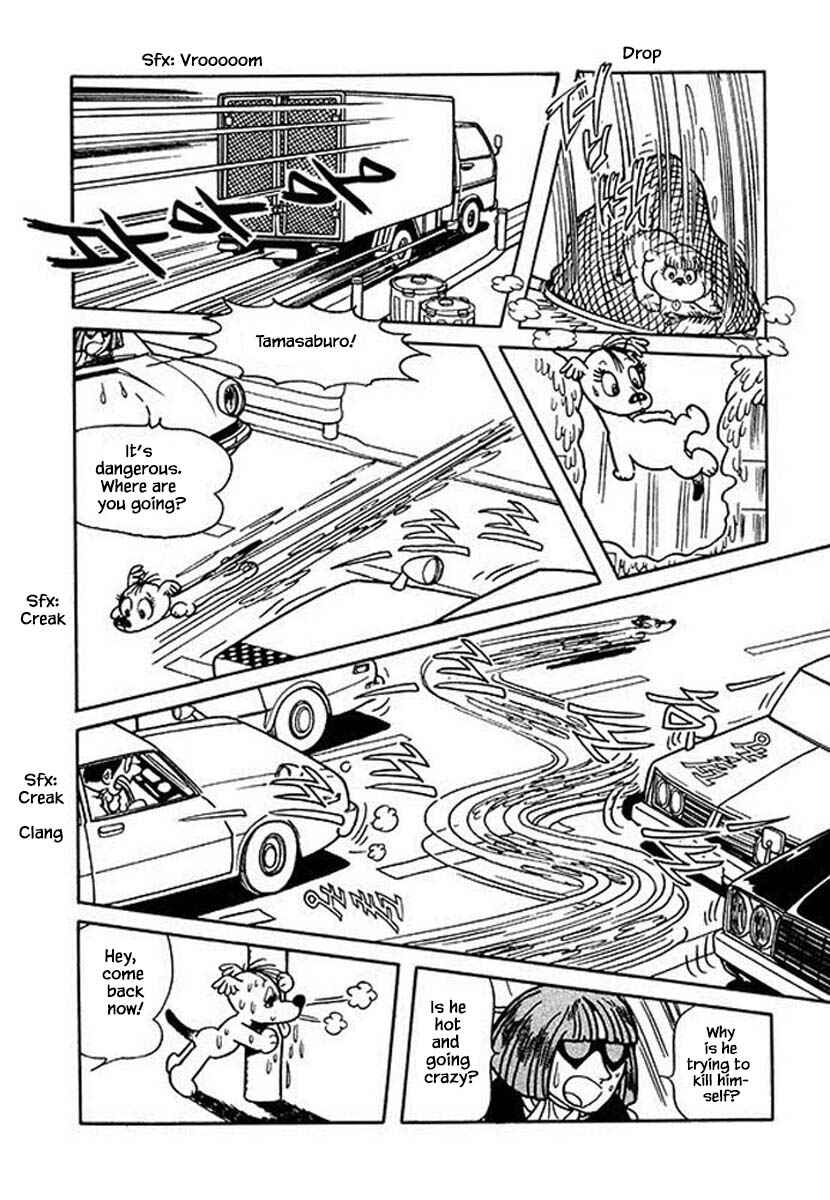 Page 4 Chapter 19 Rainbow Parakeet