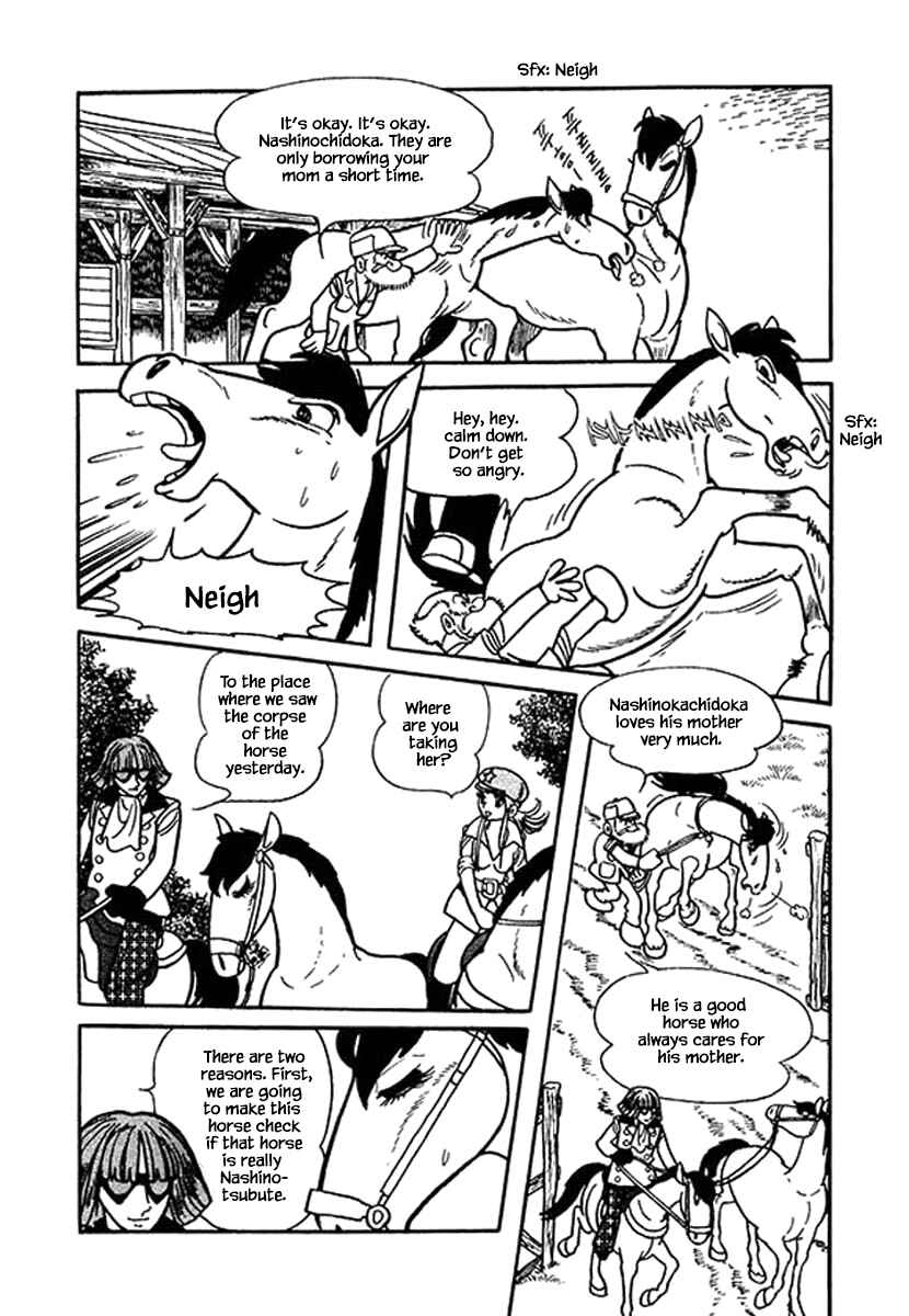 Page 14 Chapter 15.2 Rainbow Parakeet