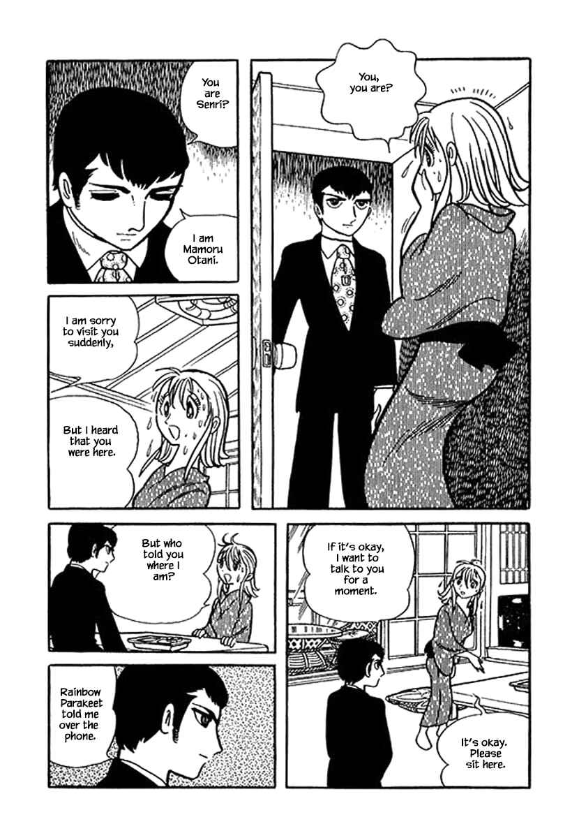 Page 8 Chapter 15.2 Rainbow Parakeet